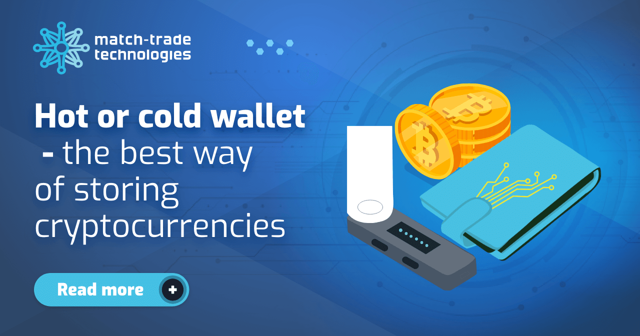 Hot or cold wallet – the best way of storing cryptocurrencies