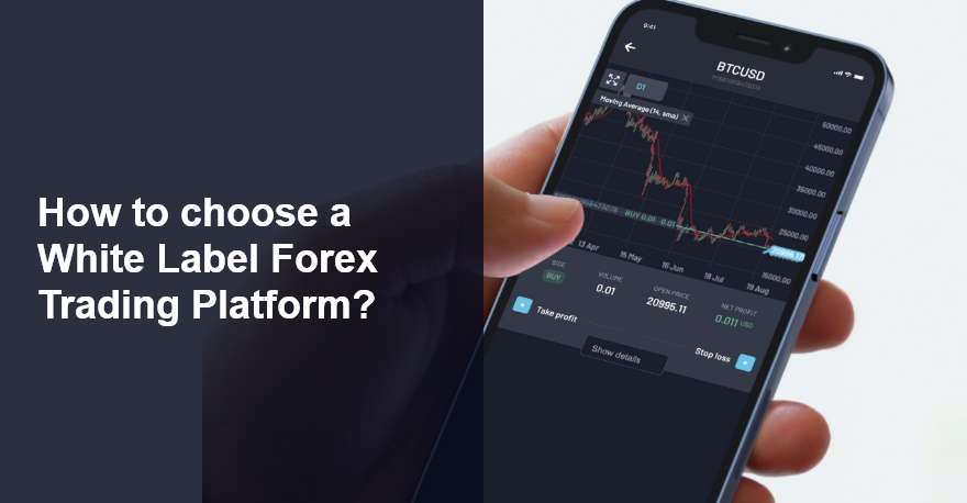 How to choose a White Label Forex Trading Platform when starting your FX broker?